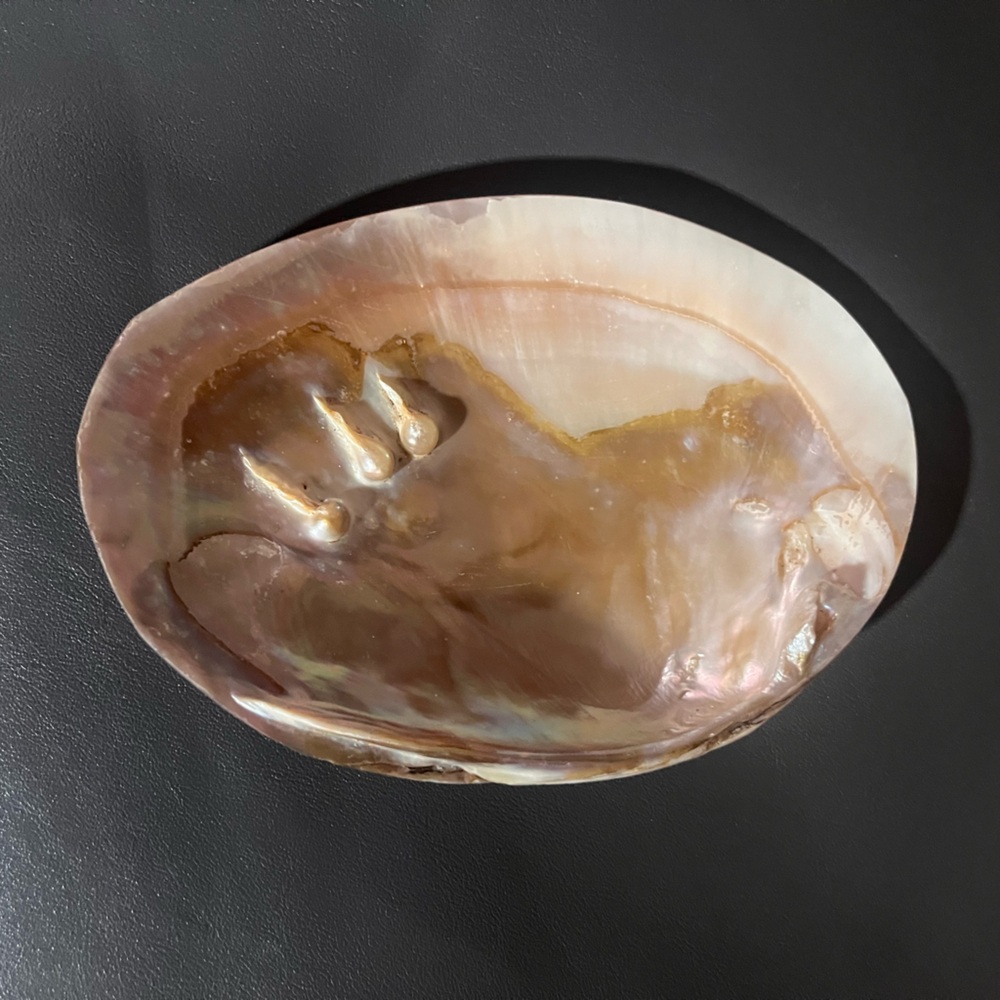 MAKE OFFER: Mother of Pearl Elegant tray